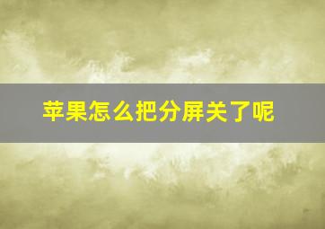 苹果怎么把分屏关了呢