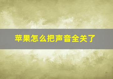 苹果怎么把声音全关了