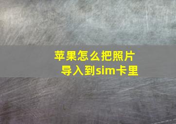 苹果怎么把照片导入到sim卡里