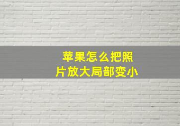 苹果怎么把照片放大局部变小