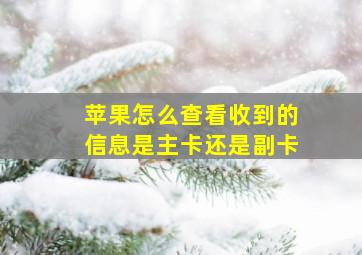 苹果怎么查看收到的信息是主卡还是副卡