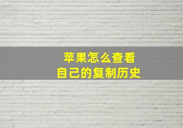 苹果怎么查看自己的复制历史