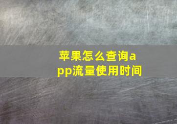 苹果怎么查询app流量使用时间