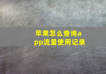 苹果怎么查询app流量使用记录