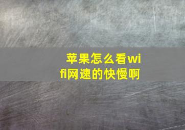 苹果怎么看wifi网速的快慢啊