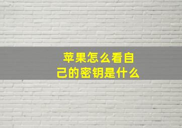 苹果怎么看自己的密钥是什么