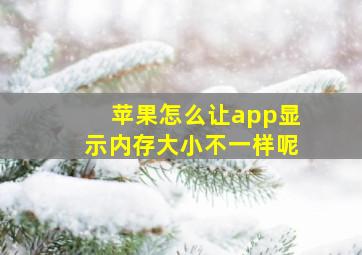 苹果怎么让app显示内存大小不一样呢