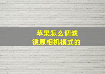 苹果怎么调滤镜原相机模式的