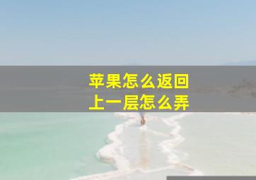 苹果怎么返回上一层怎么弄