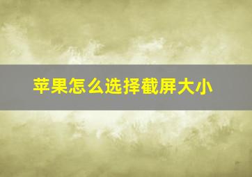 苹果怎么选择截屏大小