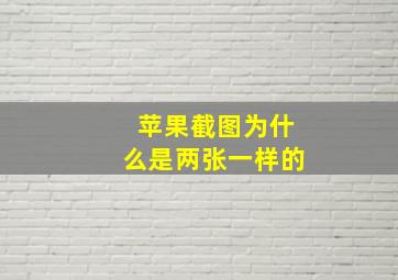 苹果截图为什么是两张一样的