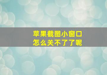 苹果截图小窗口怎么关不了了呢