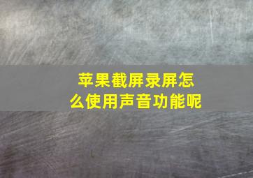 苹果截屏录屏怎么使用声音功能呢