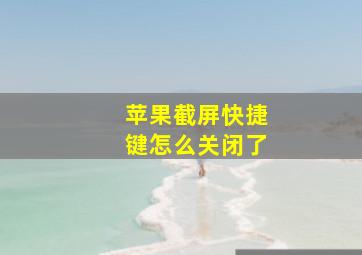 苹果截屏快捷键怎么关闭了