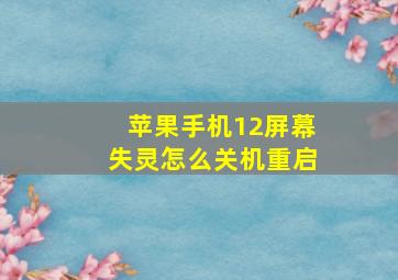 苹果手机12屏幕失灵怎么关机重启