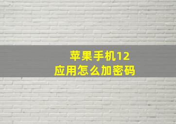 苹果手机12应用怎么加密码