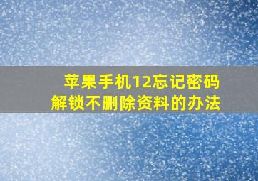 苹果手机12忘记密码解锁不删除资料的办法