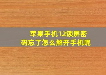 苹果手机12锁屏密码忘了怎么解开手机呢