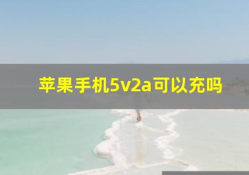 苹果手机5v2a可以充吗