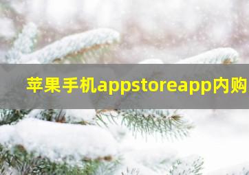 苹果手机appstoreapp内购买