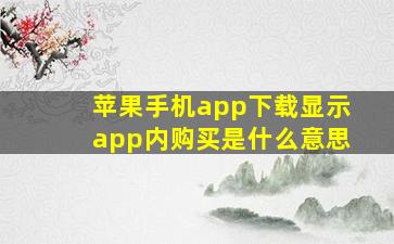 苹果手机app下载显示app内购买是什么意思