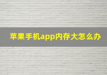 苹果手机app内存大怎么办