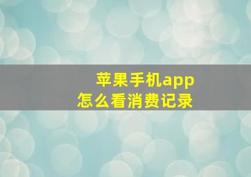 苹果手机app怎么看消费记录