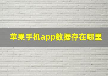 苹果手机app数据存在哪里