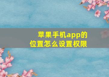 苹果手机app的位置怎么设置权限