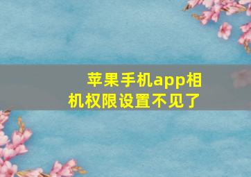 苹果手机app相机权限设置不见了