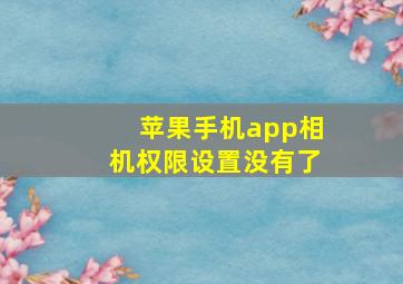 苹果手机app相机权限设置没有了