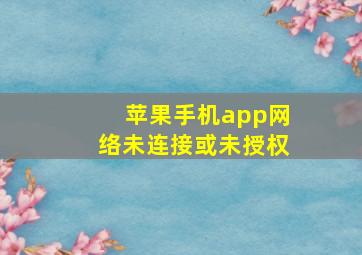 苹果手机app网络未连接或未授权