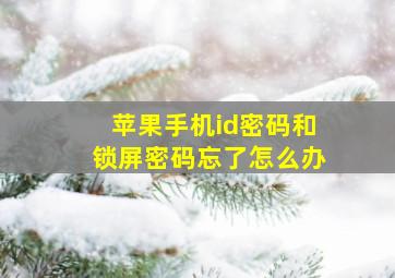 苹果手机id密码和锁屏密码忘了怎么办