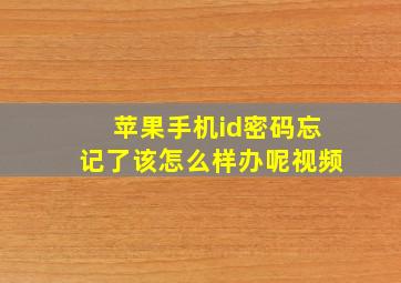 苹果手机id密码忘记了该怎么样办呢视频