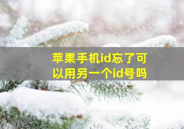 苹果手机id忘了可以用另一个id号吗