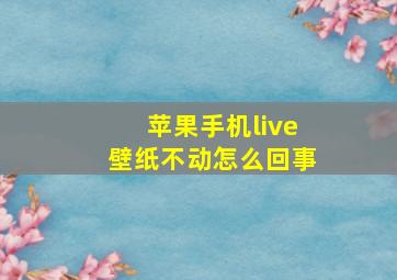 苹果手机live壁纸不动怎么回事