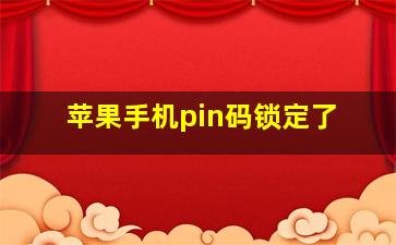 苹果手机pin码锁定了