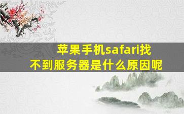 苹果手机safari找不到服务器是什么原因呢