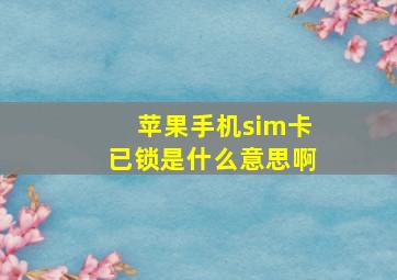 苹果手机sim卡已锁是什么意思啊