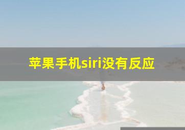 苹果手机siri没有反应