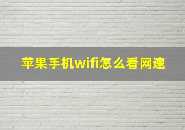 苹果手机wifi怎么看网速