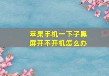 苹果手机一下子黑屏开不开机怎么办