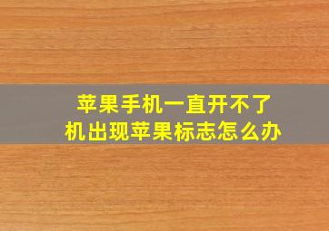 苹果手机一直开不了机出现苹果标志怎么办