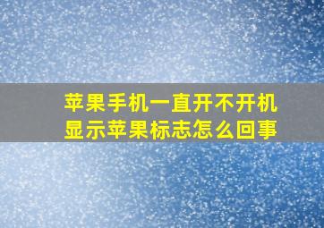 苹果手机一直开不开机显示苹果标志怎么回事