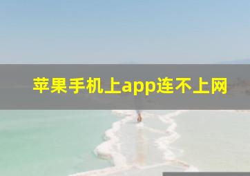 苹果手机上app连不上网