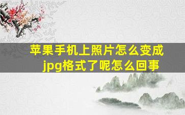 苹果手机上照片怎么变成jpg格式了呢怎么回事