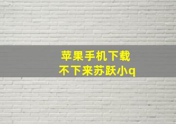 苹果手机下载不下来苏跃小q