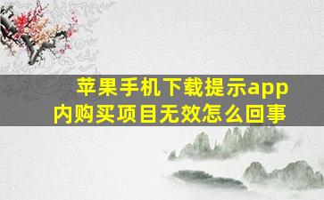 苹果手机下载提示app内购买项目无效怎么回事