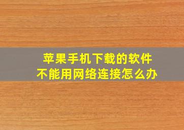 苹果手机下载的软件不能用网络连接怎么办