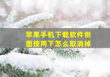 苹果手机下载软件侧面按两下怎么取消掉